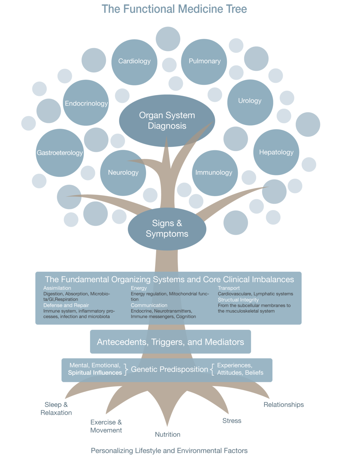 Functional Medicine Tree Kaufman Health & Hormone Center