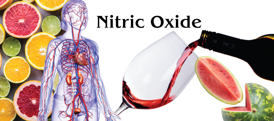 What are the benefits of Nitric Oxide? Learn more about how it effects your cardiovascular, circulatory systems and more.