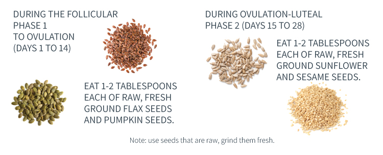 What nuts and seeds to eat during Phase 1 and 2 of Seed Cycling