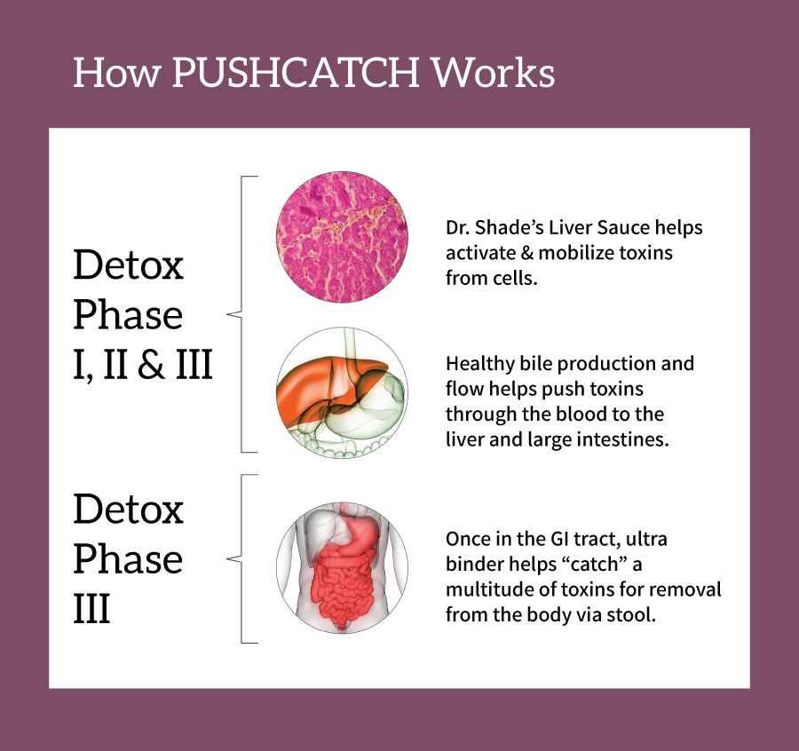 How PUSHCATCH works for the liver detox